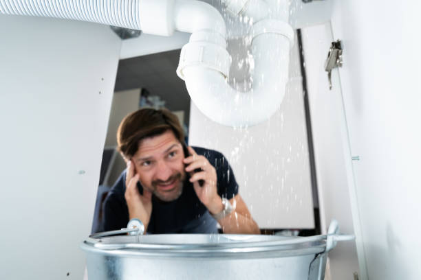 Best Leak Detection Services  in Plains, MT